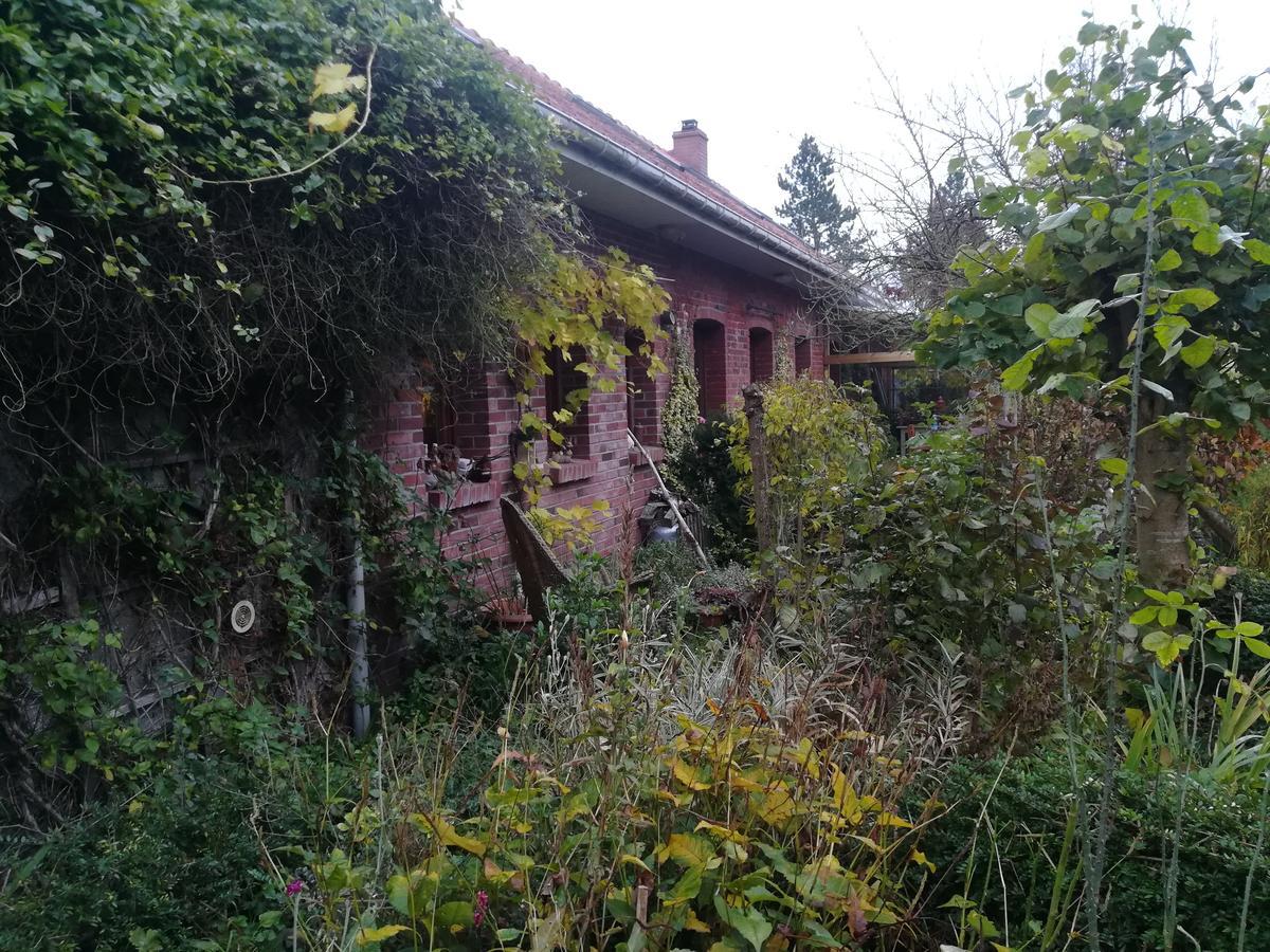 Bed and Breakfast Pantgat Hof Bollezeele Экстерьер фото
